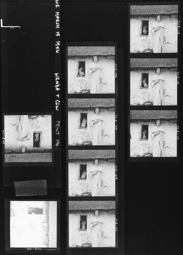 NP_NP05E3_1954_015: Wenda and the Cow