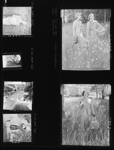 NP_NP05E3_1955_005: 1950s Vogue