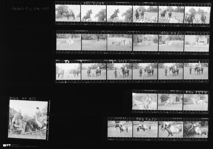 NP_NP05E3_1955_013: 1950s Vogue