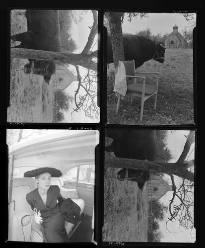 NP_NP05E3_1958_022C: 1950s Vogue