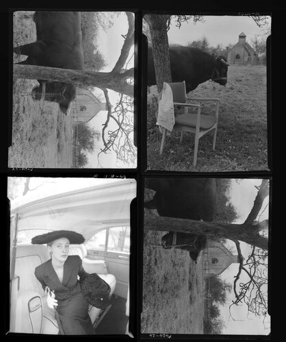 NP_NP05E3_1958_022D: 1950s Vogue