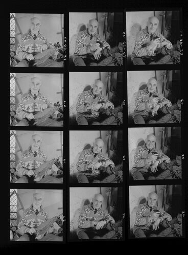 NP_NP05E4_048: Tahiti