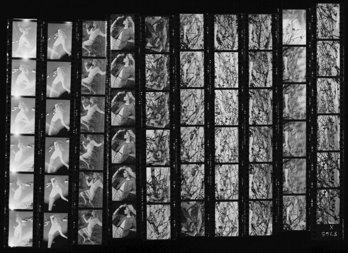 NP_NP05E4_093: 1960s Vogue