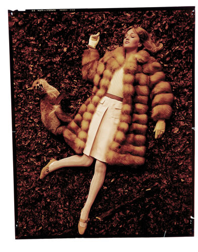 NP_NP06F3_013: 1960s Vogue