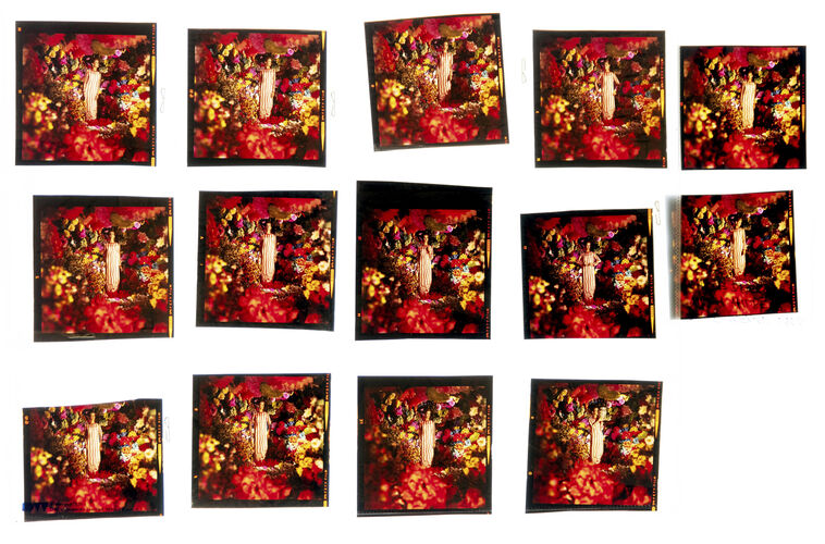 NP_NP06F3_031: Katherine Pastrie