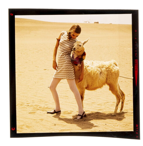 NP_NP06F3_044: Dolores Wettach