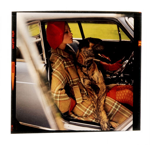 NP_NP06F3_096: Celia Hammond