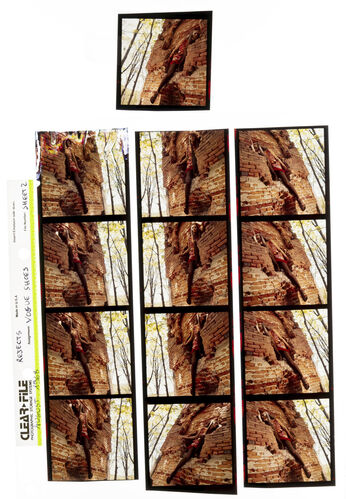 NP_NP06F3_110: American Made Man Made Legs on a New Footing