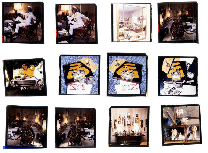 NP_NP06F3_119: Florida Beauty Cool Sea Face