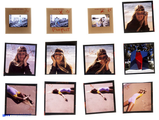 NP_NP06F3_124: Florida Beauty Cool Sea Face