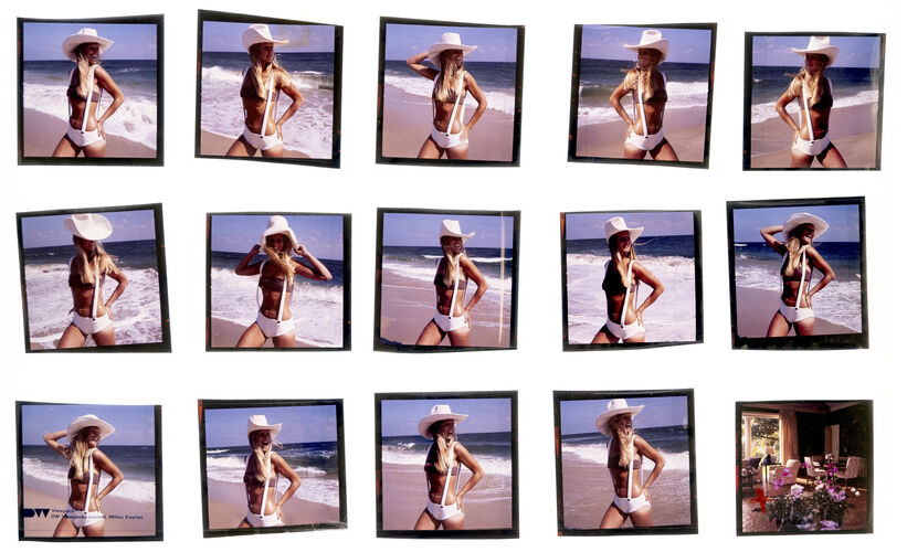 NP_NP06F3_134: Florida Beauty Cool Sea Face