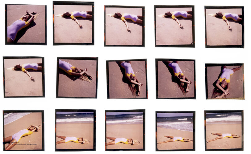 NP_NP06F3_137: Florida Beauty Cool Sea Face