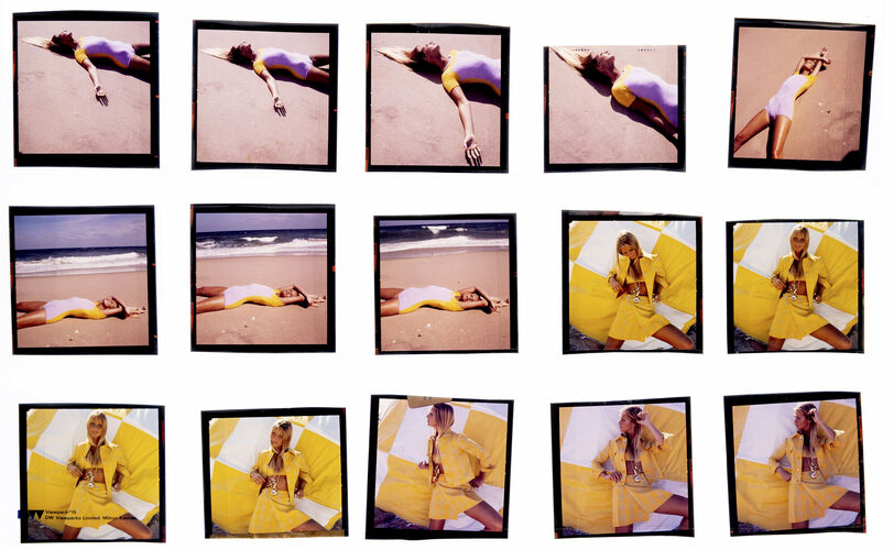 NP_NP06F3_138: Florida Beauty Cool Sea Face