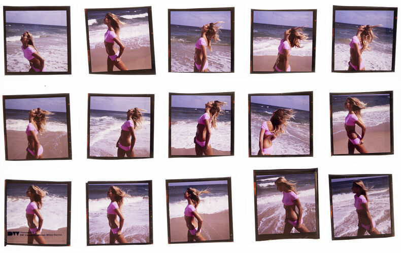 NP_NP06F3_142: Florida Beauty Cool Sea Face