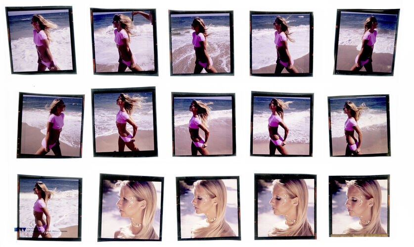 NP_NP06F3_143: Florida Beauty Cool Sea Face