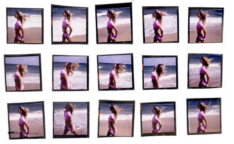 NP_NP06F3_144: Florida Beauty Cool Sea Face