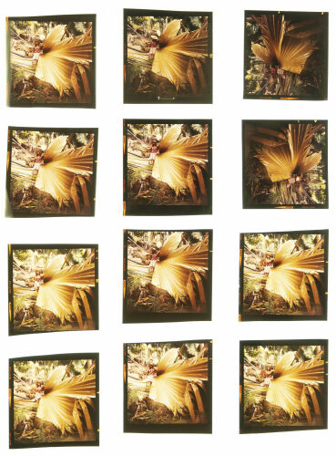 NP_NP06F3_1971_023: Apollonia van Ravenstein