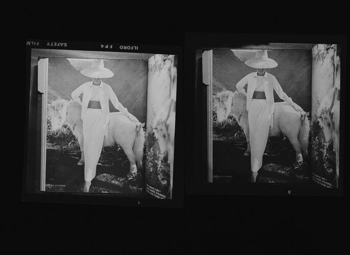 NP_NP06G2_001: 1960s Vogue