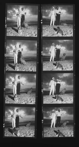 NP_NP06G2_043: 1960s Vogue