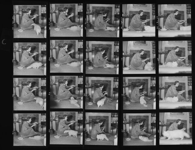 NP_NP06G2_1955_005G: 1950s Vogue