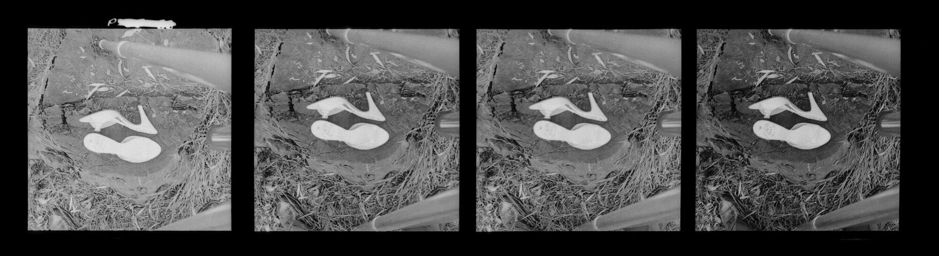 NP_NP06G2_1955_006: 1950s Vogue