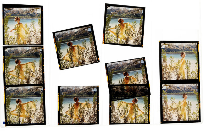 NP_NP07G4_017: Pau Pau Bay