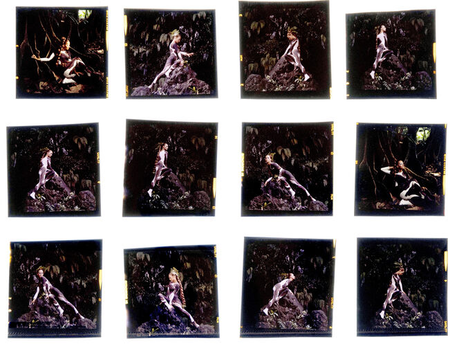 NP_NP07G4_057: Tahiti