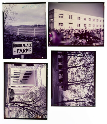 NP_NP07G4_1951_009: 1950s Vogue