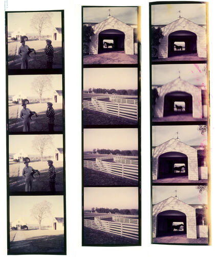 NP_NP07G4_1951_012: 1950s Vogue