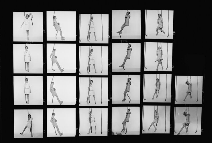 NP_NP09A_001: Twiggy