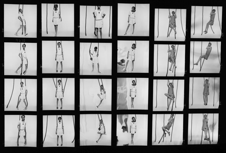 NP_NP09A_051: Twiggy