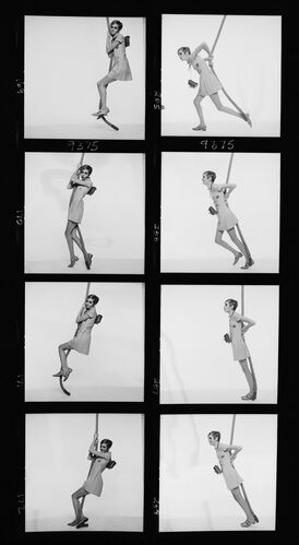 NP_NP09A_052: Twiggy