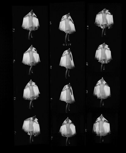 NP_NP09A_054: Twiggy