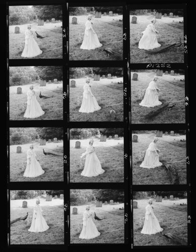 NP_NP09B_1974_003H: Fashion Woods