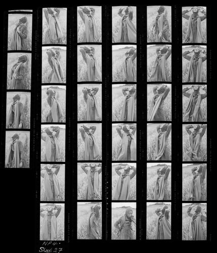 NP_NP09B_1974_011H: Model and Car