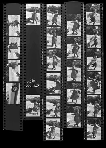 NP_NP09B_1974_011I: Model and Car