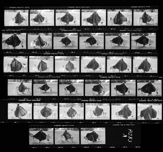 NP_NP09B_1974_017A: Paherns