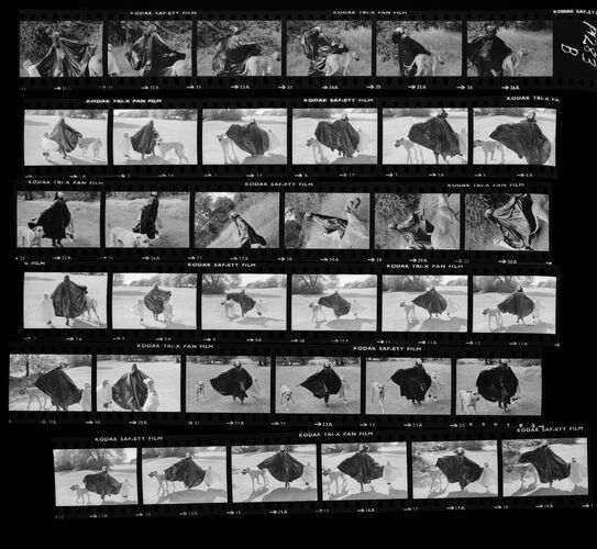 NP_NP09B_1974_017B: Paherns