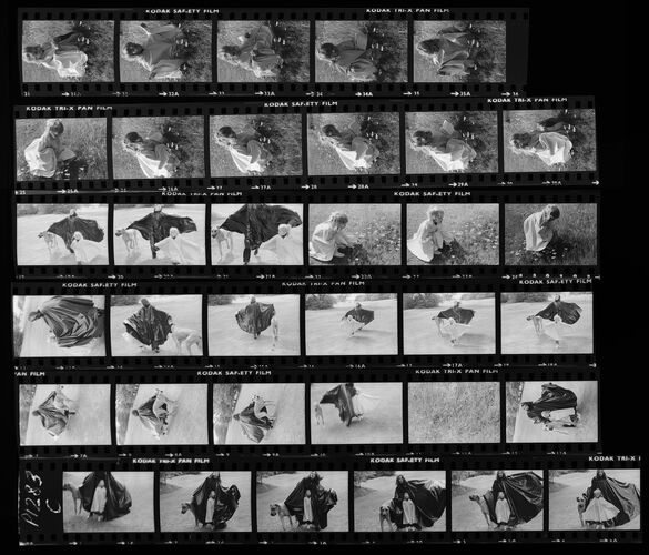 NP_NP09B_1974_017C: Paherns