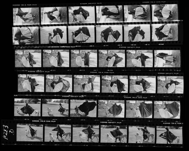 NP_NP09B_1974_017D: Paherns