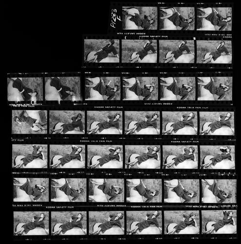 NP_NP09B_1974_017F: Paherns