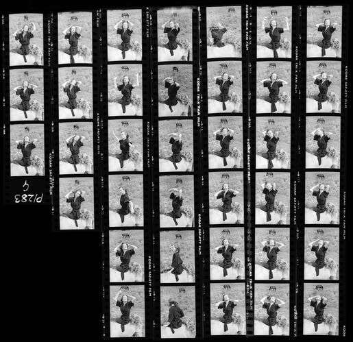 NP_NP09B_1974_017G: Paherns