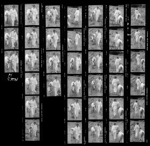 NP_NP09B_1974_017H: Paherns