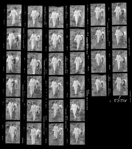 NP_NP09B_1974_017I: Paherns