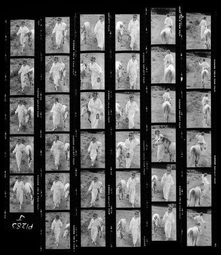 NP_NP09B_1974_017J: Paherns