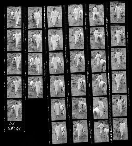 NP_NP09B_1974_017M: Paherns