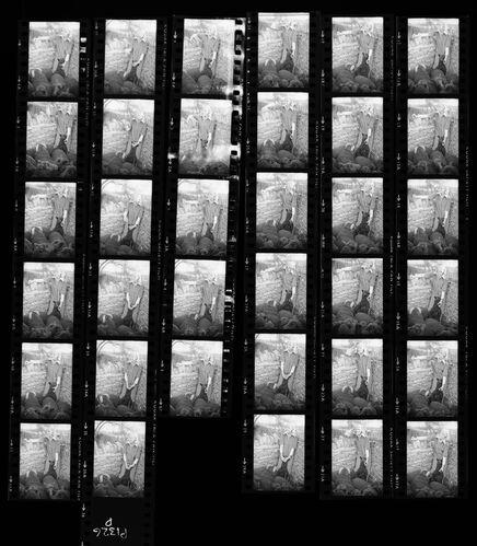 NP_NP09B_1974_030D: British Vogue 1974