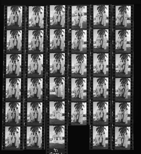 NP_NP09B_1974_032U: Jerry Hall