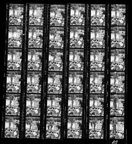 NP_NP09B_1974_033D: Jerry Hall