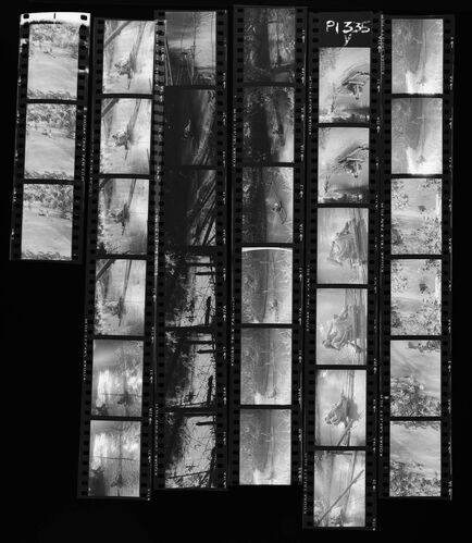 NP_NP09B_1974_034D: Jerry Hall